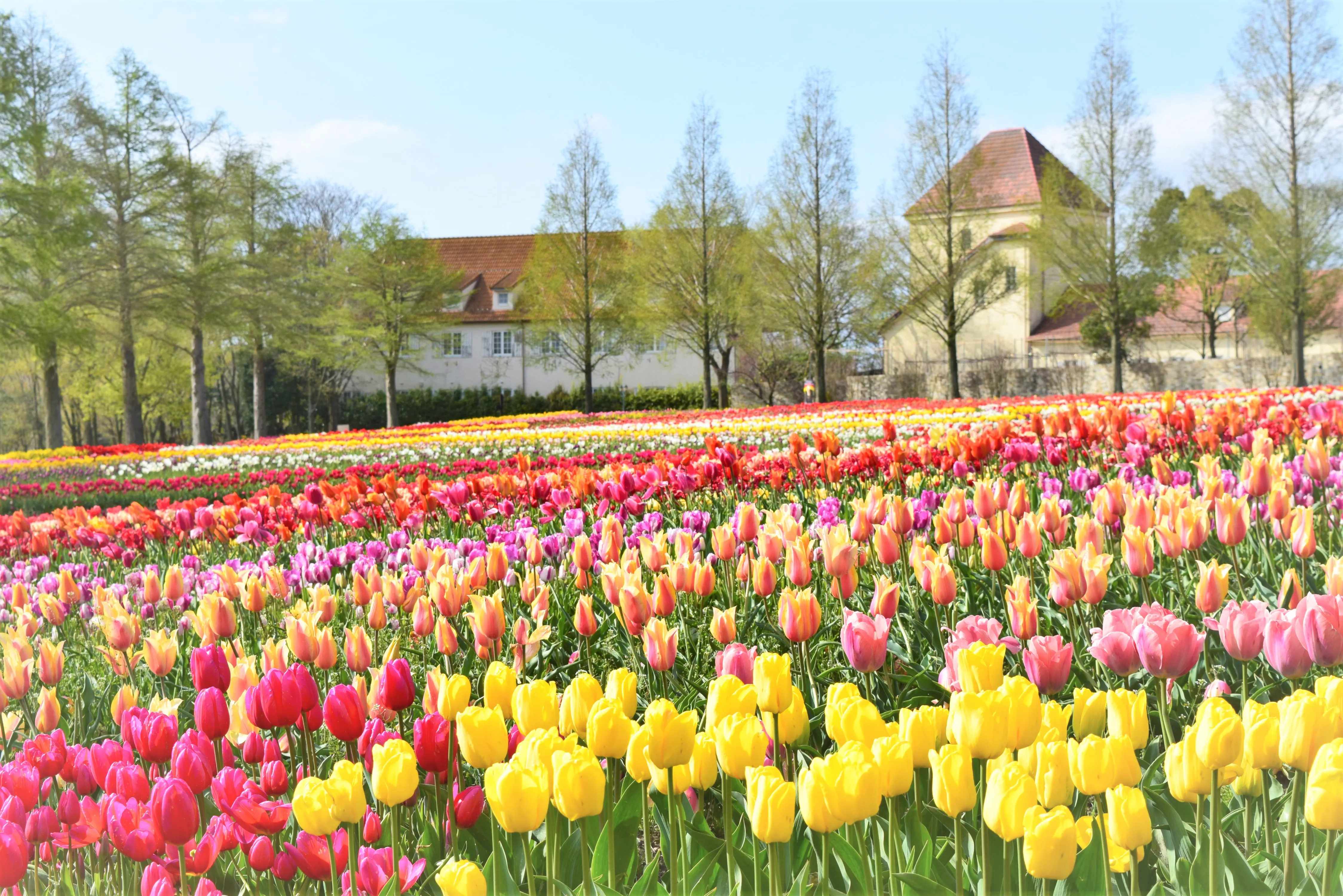 🏞️ 하뉴 수향 공원 이미지 9